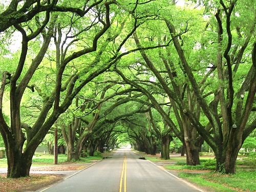 Aiken SC S Boundary Ave
