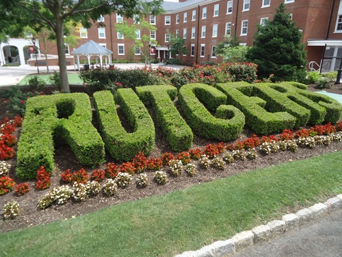 Rutgers Univ bushes