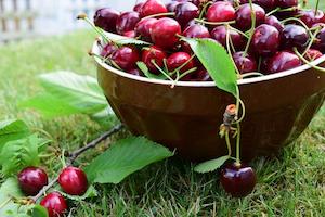 cherries.jpg
